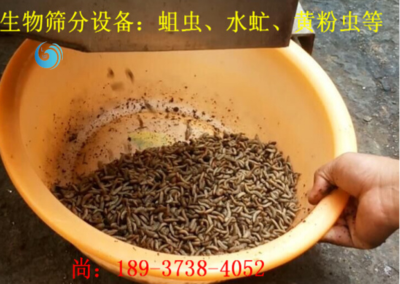 蛆蟲篩選3層好色先生TV软件下载